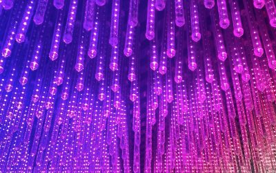 Perth Children’s Hospital Foundation